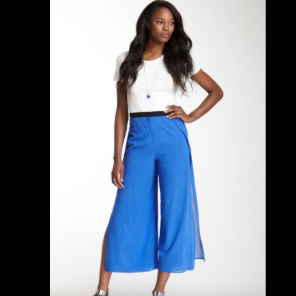 NWT Robert Rodriguez‎ Silk Blend Split Leg Pants